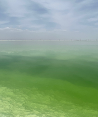 ���ų��ν��;�б�˦����ŵ�����˻�Ҳû�У�����ר��������