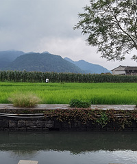 ������+��������ˣ�ڳ�â�б�ɽ��С��·���������ջ����