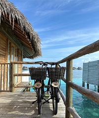 �����ĵ�һ�γ�����������������ƽ