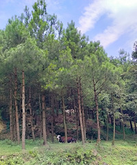 ������1������֮�á�