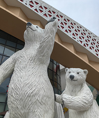 ����͸�ȥ��ѩ�������ѩ�漣3Сʱ��ѩ����ʹ��������