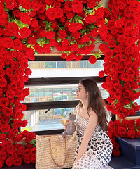 �������½��򿨵�Ҳ̫��Ƭ�˰�