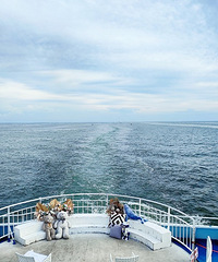 ������޵���˿�׸�һ���Ŀڶ����С7��6���Լ���