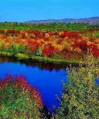 �����Լ�û�еط�ȥ����Щ�ط���ֱ��������