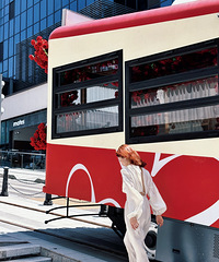 ��˹��ͬ��С�³����ڹ�����