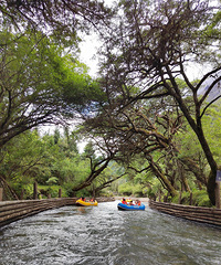 ���������Լ�-�����ؾ�����