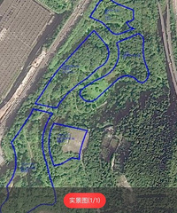 �ϰ����Ĺ�������170Ķ�ؿ飬λ�þ��ڹ�Ĺ��