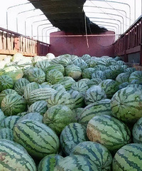 �ͼۻ�ӭ�����ǣ�����ί�������ͼ����ǣ�������Ӧ�ж��