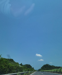 �����ҵ�è����ȥ�ɣ����ʱ��͵�����˵�߾��ߵ����У�