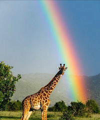 ����ʮ����