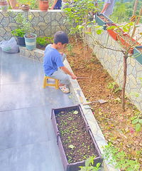 ������㼣