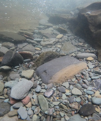 ����ˮ�ʣ�һ����Ϫ׽�з