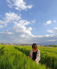 87��165CM��С������飬���н���칫˾����