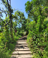 �������壬�úóԷ�