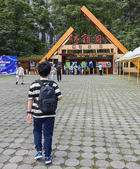 ��ʩ-�żҽ�-���������Ŷ��˹���