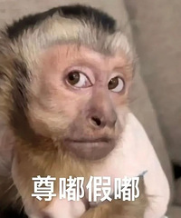 ������ֵ���򡿱���˹������ɹ��49����ħƻ��������9.8