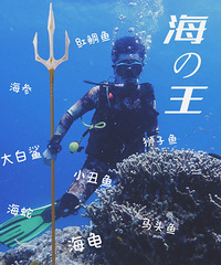 ����Ǳˮ����������ɫ����