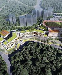 ���λ�ĵ���ʯСѧҪ����