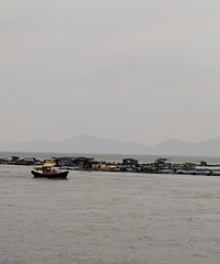 ��Խ���֣�����Ұ̲����������