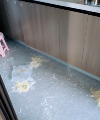 ���Ƿˮ�����·�ˣ�����һƬ�ǽ壬����ȫ��èʺ