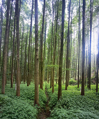 ����ϲ��ɽ��ƺŶ��