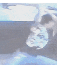 �̼����Ƕ��������Ĺϣ�