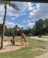 ˾2000Ĺ5Σ˵˵ʡǮط