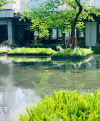 ����ȥ���������̣����ſ�����