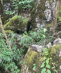 ���ɽ����ͽ��