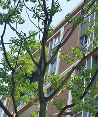 ���ƺ���С������ʵ��