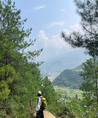 �ϴ����´�ͽ��