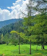 ļˣˮ¶ӪصأϴǱ˸ٿ