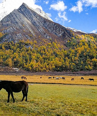 ��æ��Ҫȥ��ʮ����������Դ������ȥ�������أ�