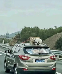 �����ù������ã���Ȼ׷�������������ˣ� ����Ӧ�ñ��ƴ���