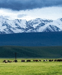 �����ؼݣ��й���·�컨�忪���ˣ�����һ��Ҫ��1��