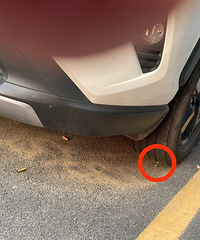 ����ҿ������ԵĶ��ܶ�ʲô�ز���