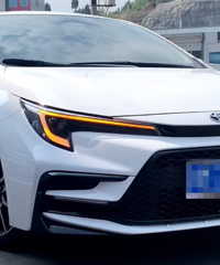 �ܶ���һ�궼������10��ȴ������10��������������