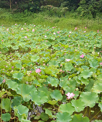 87��󽡿���ҵ��С������飬ϣ���Է�û��С��