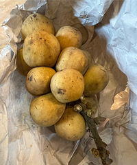 ���Ǹ�ɶˮ��������������ֵֹ�