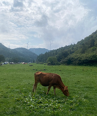 һ��¶Ӫ�Ŀ���