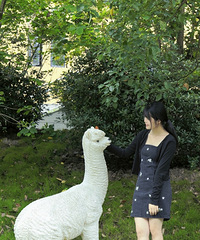 93��163CM���������飬ϣ���Է�������������