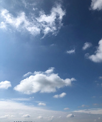 ������¥��ȼ�����ҳ���