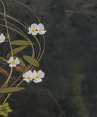 90ʨ飬õ㡢Լݺ¶Ӫ