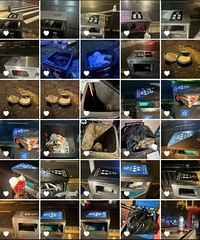 ���ƺ��Ͼ�