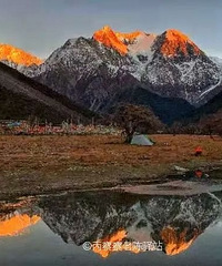 ������¶��Ľ����ߣ��ο�ȴ����318һ�룡һ�����죬�������ͻ�