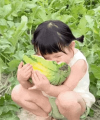 ������ֵ���򡿲�˾�Ǽ������޷�698��������ͫ2��29