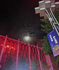 91��164CM������С������飬ϣ���Է�����172����