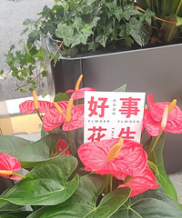 91��164CM������С������飬ϣ���Է�����172����