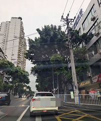 �޽����£���ƺ���·����Ƭ��ֱ���Ǻ�ƻ����̵ƣ�