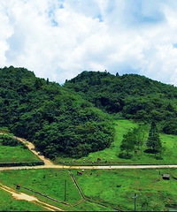 ץסβȥ¶Ӫˣˮץз